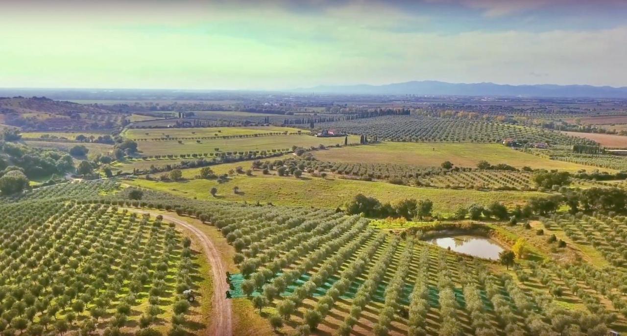 Agriturismo La Fonte Γκροσέτο Εξωτερικό φωτογραφία