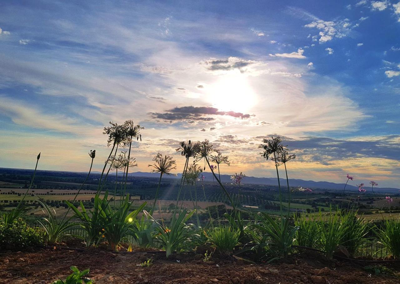 Agriturismo La Fonte Γκροσέτο Εξωτερικό φωτογραφία